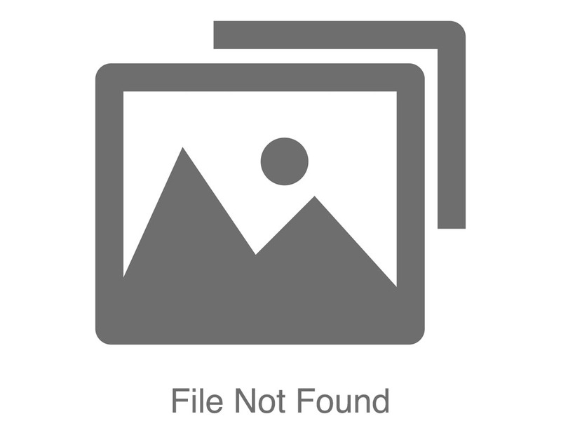 Image of Chispa or Not?: Trivia article