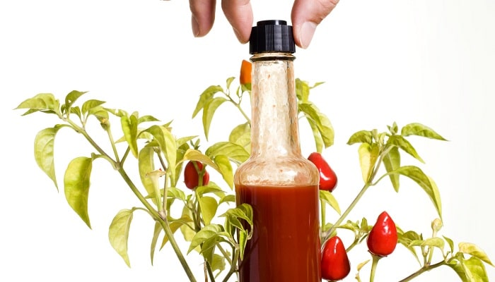 The Definitive Guide To Bottled Hot Sauces