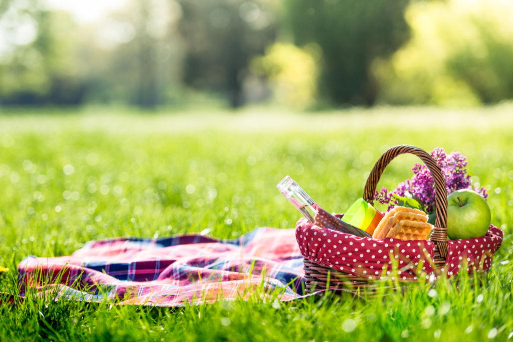 The best: 4 Latin Picnic Ideas The best: 4 Latin Picnic Ideas