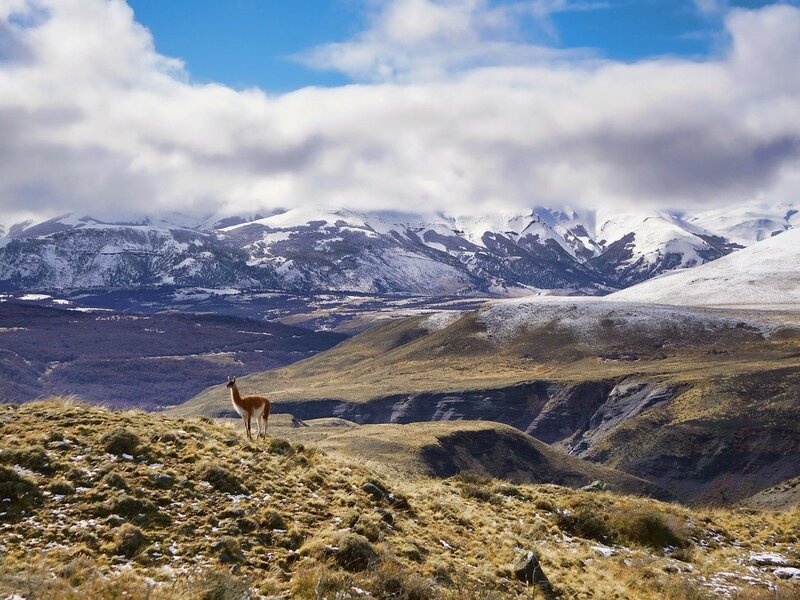 Image of Choose The Best Country To Visit In South America Based On Your Favorite Dish article