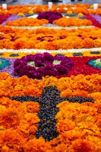 marigold flower día de muertos