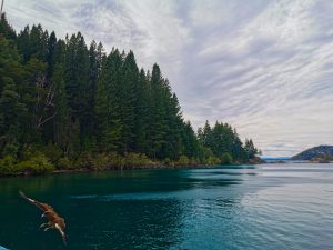 Bariloche Article - Nahuel Huapi Lake