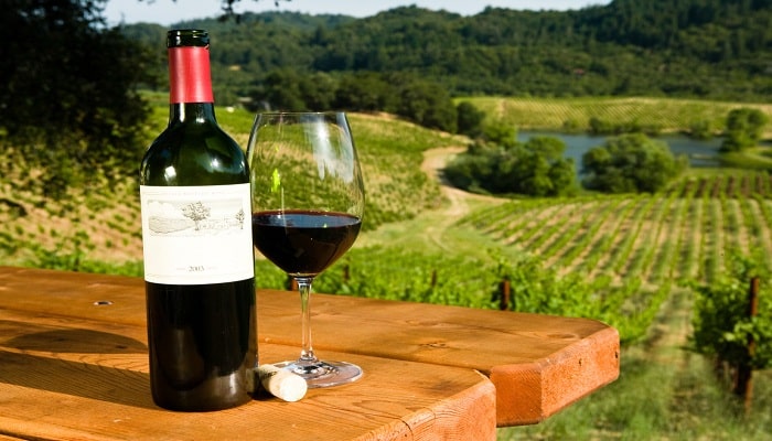 The 7 Best Wine Regions of Latin America - We Are Cocina